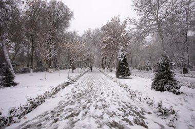 Semerkant Bulvarında Kış.