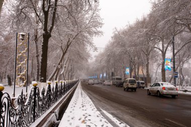 Özbekistan 'da kış bazen karlıdır. Semerkand, Özbekistan.