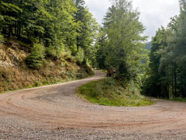Kara Ormandaki Güzel Waldpgasse.