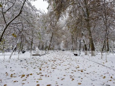 Semerkant Bulvarı 'nda kış.