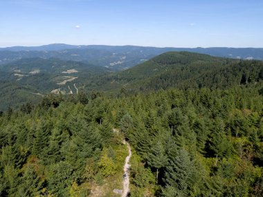 Kara Orman 'ın ortasında yürüyüş parkuru..