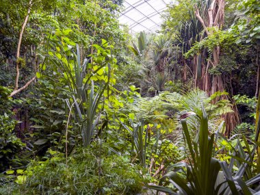 Seradaki güzel bahçe..