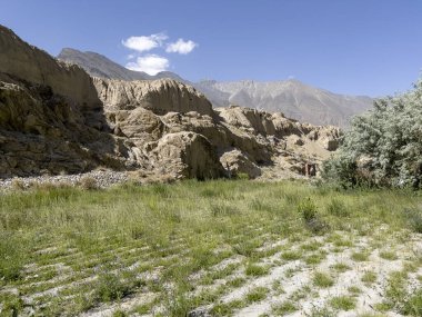 A small garden at a ruined fortress in the Pamir Mountains. clipart