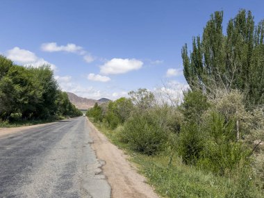 Koruluğun ortasında bir yol..