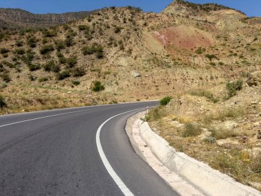 Tacikistan 'ın sivri örümcekleri.