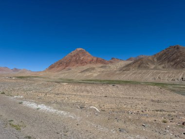 Deniz seviyesinden 4600 metre yükseklikte yeşil bir çayır..