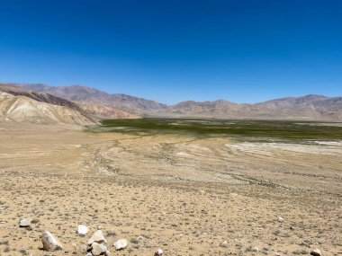 Çorak arazinin ortasında yeşil bir çayır..