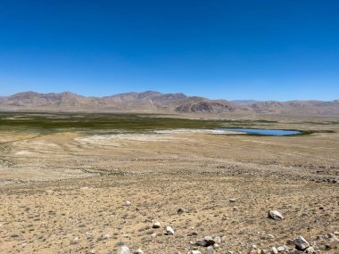 Su kaynağı olan yeşil bir çayır..