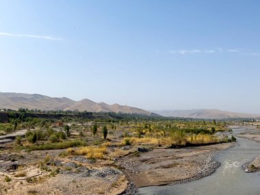 A bush grove in the Noryn River drainage basin. clipart