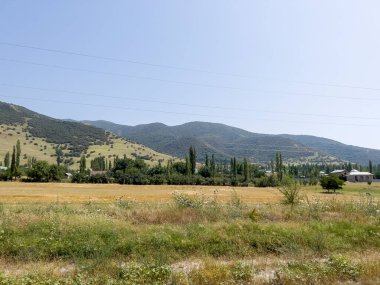 Yeşil çayırlarla güzel bir doğa..