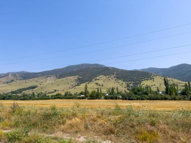 Dağ eteklerindeki güzel ormanlar.