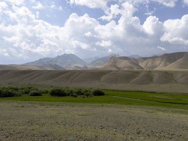Yeşil çayırlı güzel bir dağ manzarası.