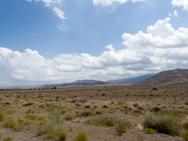 Kavaklı bir bozkır..