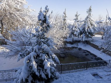 Kurumuş bir gölette kış sabahı.