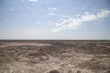  Çok az yağmur ve çok az bitki var.