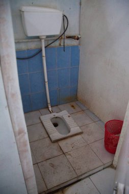 Asya ülkelerinin kirli umumi tuvaletleri