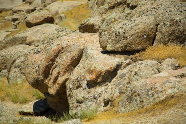 orange lichen on rock in uzbekistan clipart