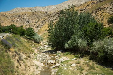 Tepeye giden yolu takip et.