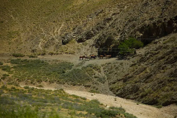 stock image group of houses in uzbekistan mountain