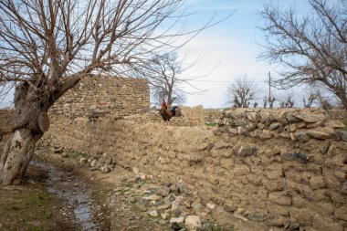 Duvardaki tavuk gıdaklaması