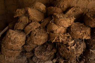 Ateş için inek gübresi keki.