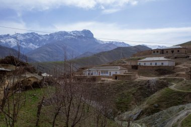 Özbekistan köyünün zirvesi ve karı