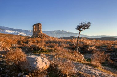 Bir kaya, bir ağaç ve bir tepe