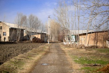 Özbek köyünde bir yol