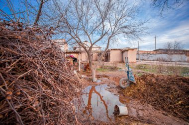 Özbekistan 'daki köyün arka tarafında.
