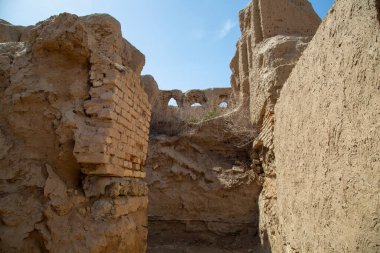 Eski kale binasında doğal yaşam alanı