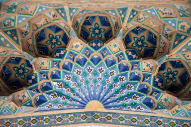 Duvarda güzel tavus kuşu deseni