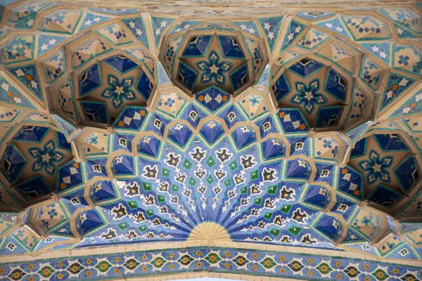 Duvarda güzel tavus kuşu deseni