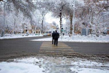 Trafik ışıkları yeşil parlıyor.