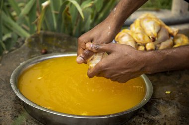 zerdeçal tozuyla yıkanan bir tavuk.