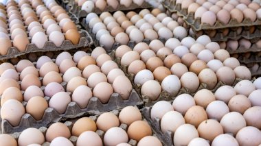 Yumurta tepsisindeki beyaz ve kahverengi yumurtalar