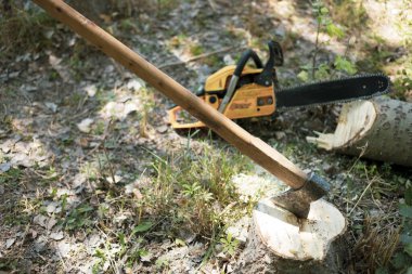 Orman zemininde ağaç kesen bir balta.