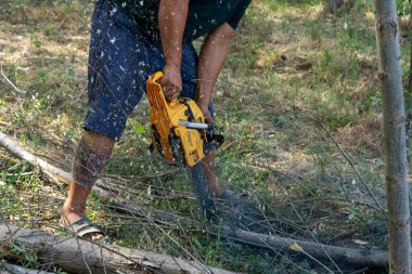 Bir adam devrilmiş bir ağacı testere ile kesiyor.
