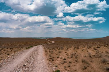 Çölde küçük bir yol, büyük bir göl vahasına doğru.