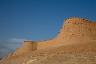 Zamanla yok edilmemiş hafif çürümüş bir toprak süpürgesi.