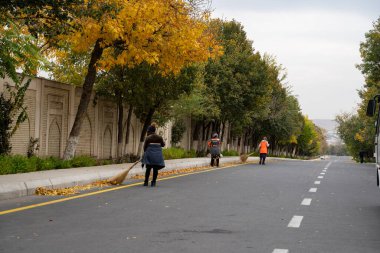 Özbek kadınları Özbekistan 'da otoyolları temizliyor