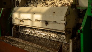 Pamuktaki küçük toz parçacıkları büyük makinelerle ayrılmış.