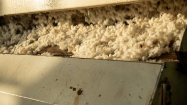 Pamuk endüstrisinin işleme birimi.