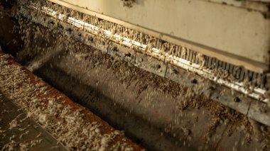 Pamuk atığından bir sürü toz parçacığı