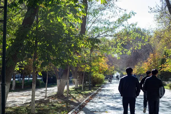 Orta Asya 'da sonbahar mevsiminde güzel yollar