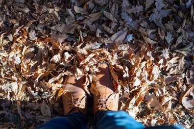 Kuru orman Yaprağı Sonbahar mevsiminde ayakkabıyı örtüyor