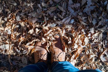 Kuru orman Yaprağı Sonbahar mevsiminde ayakkabıyı örtüyor