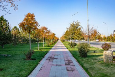 Tarihi yerin yanında yürüyen bir patika.