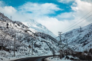 Yüksek irtifada daha az bitki örtüsü olan karlı Rocky Dağı Karayolu