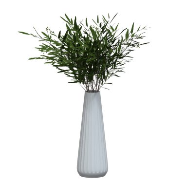 ev dekoratif bitkiler birden fazla stilde arka plan yok, güzel varlıklar, çiçek ve bitkiler yok