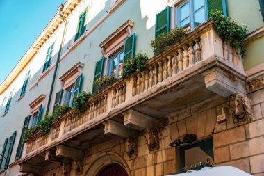 Balkonlu bir binanın saksısında yeşil bir bitki vardır. Balkon parmaklıklarla süslenmiş ve birkaç saksı bitkisi var.